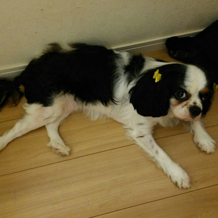 F2ec4621 37cf 4097 b550 4c50d45a755f