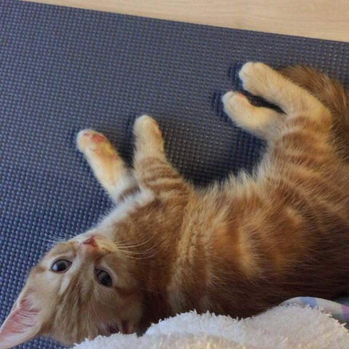 F2ec5181 6e5f 44d1 b2af 41c7e4ec94df