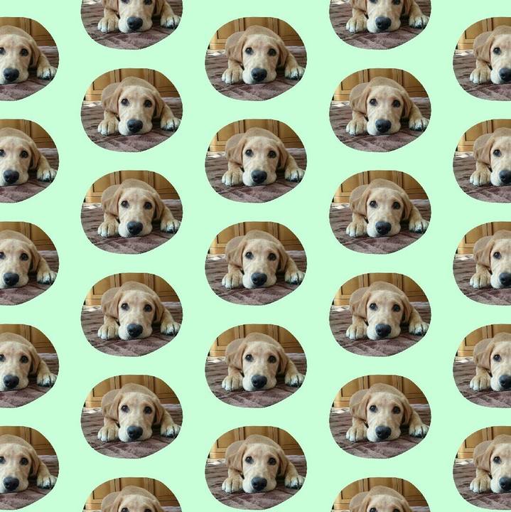 F2ed1e70 317b 4d80 8e96 26bbdc4f6574