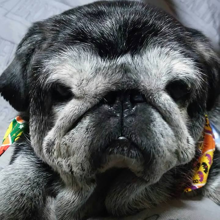 F2ed313e 37f2 42a6 bb22 6f17dee20111