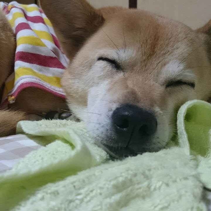 F2edfa0f c624 4e48 96ef 0896fcf28267