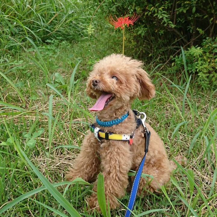 F2edfadc ebc9 46be 81c0 1b67c839f3fa