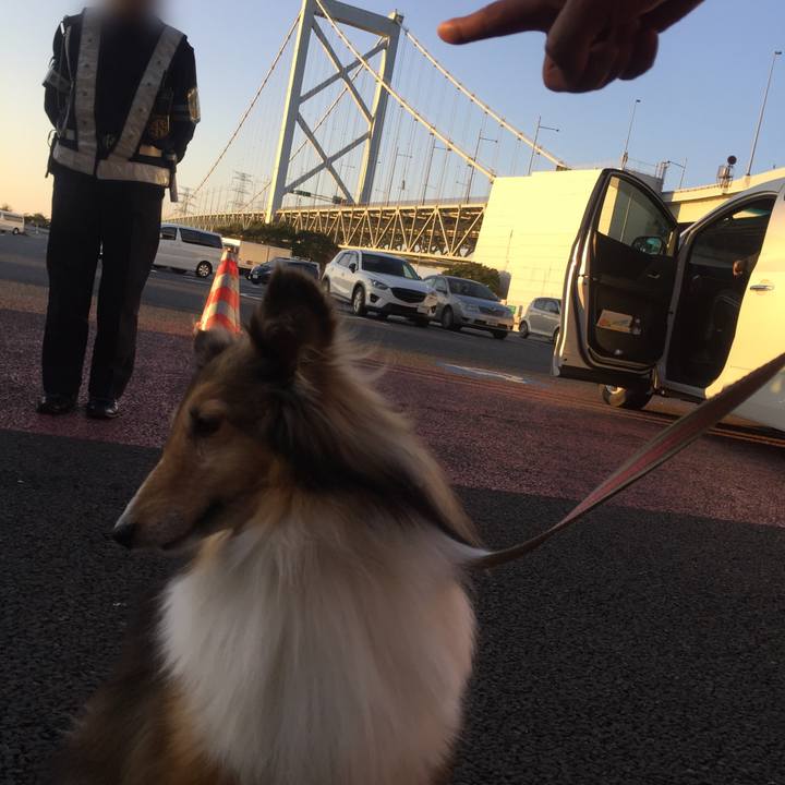 F2eeface 64bb 49ba b84a 25d979341b17