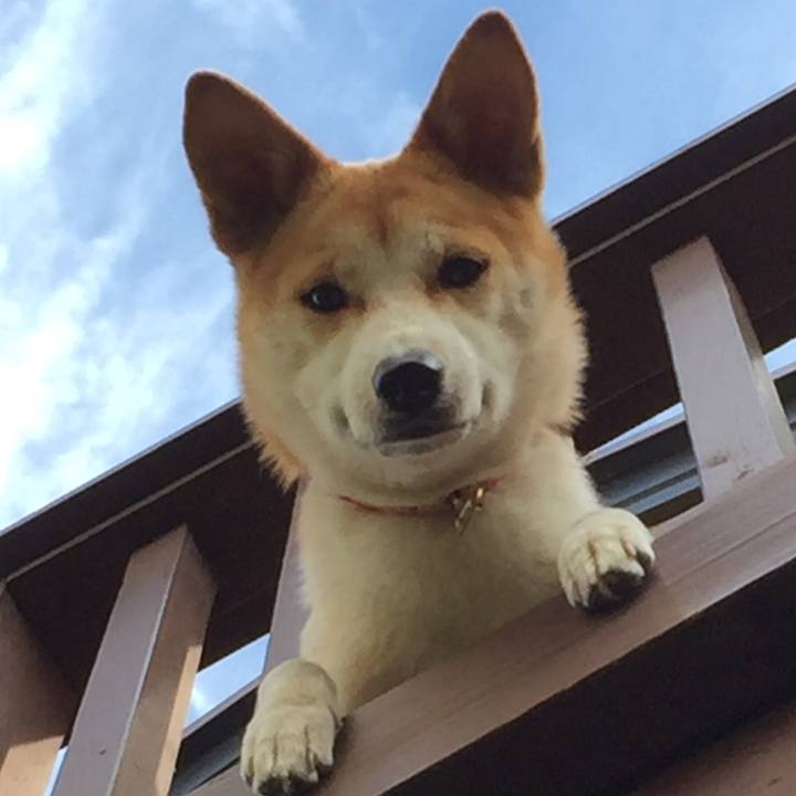 F2efc402 adfe 4465 999a 8b107c6c6b7d