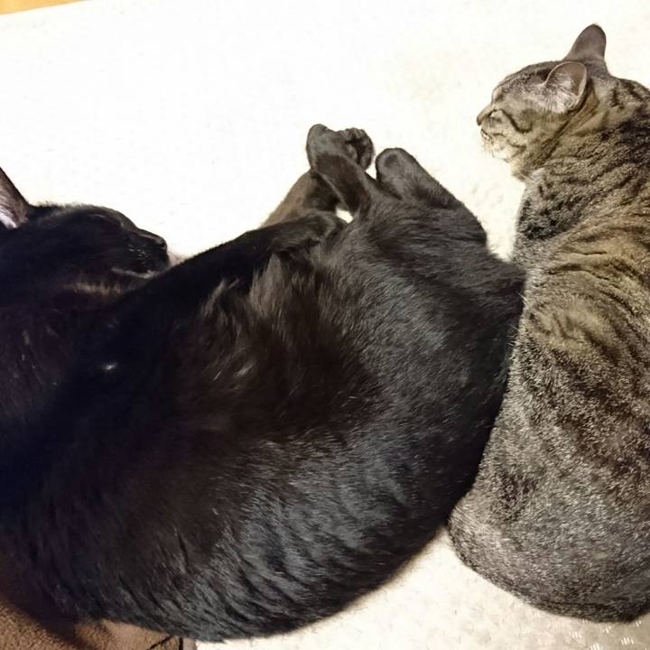 F2efe973 ed3a 429e a7ca 6a0eb077886e