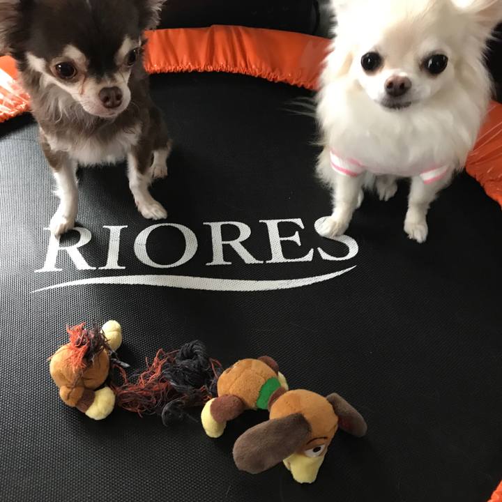 F2f05c08 99df 43f9 b029 61bd3e2a8a31