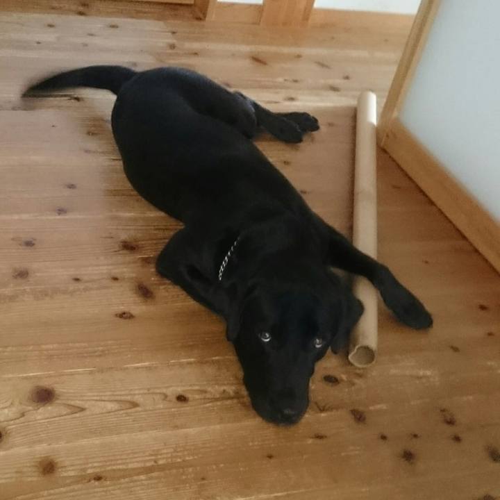 F2f08035 f733 418a 89be 9836b1f5d536