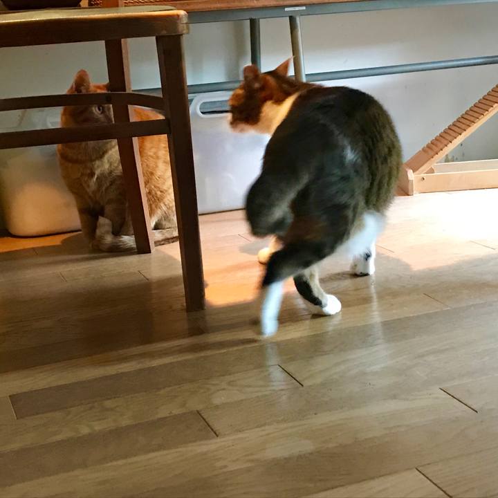 F2f097a1 98f3 4227 804e 7f65bedee6e4