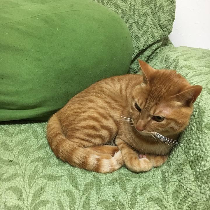 F2f0a127 6d1a 48a2 83ae 3b6a4ba8f869