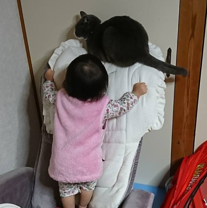 F2f0a51a 4734 489f b772 f18787ef05c1