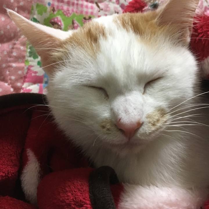 F2f15c7c e722 46f1 a73a 57b48c09b77a