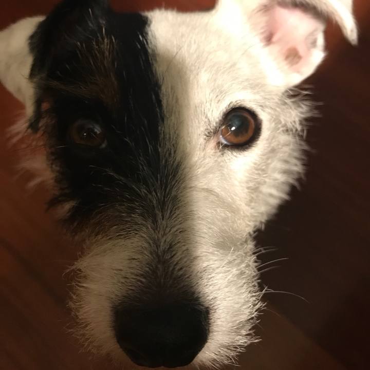 F2f1e707 d882 4b00 abcb 9945091c6d7d