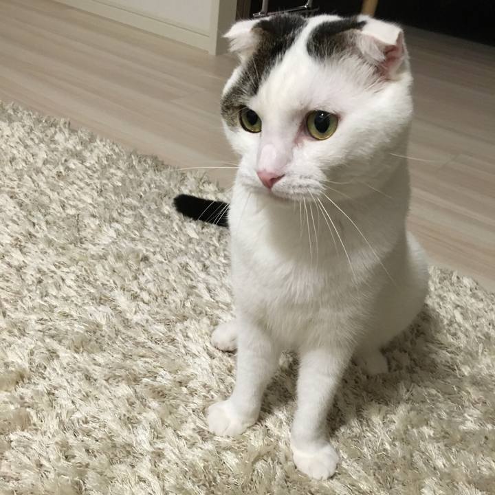 F2f200fb 5e9b 4ac8 93db 3ef19912f49a