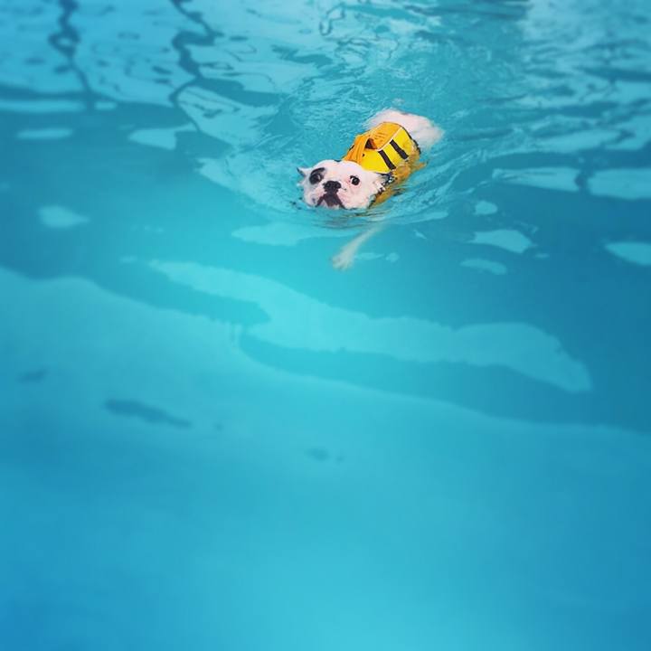 F2f2450e ece2 46d1 bde7 c1fc4fdb29de