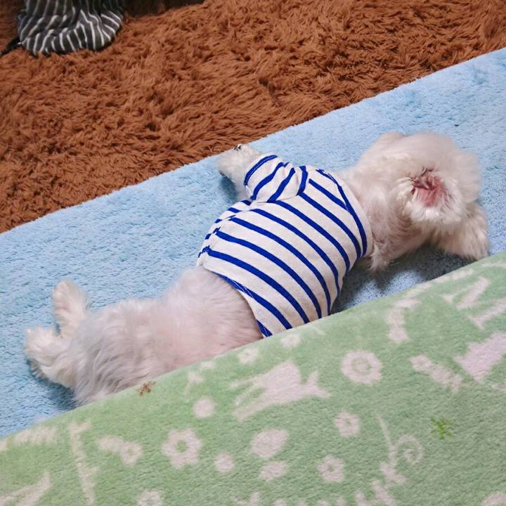 F2f274b0 4b2b 42de ae91 a35b65cf02dd