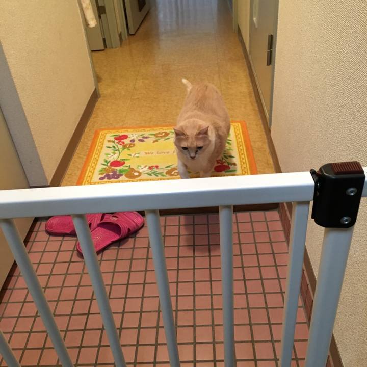 F2f2d967 ffbe 418c a69c 623140fc85d1