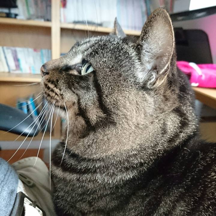 F2f2e2ae 02a9 4d64 b842 5d514f89fd7f