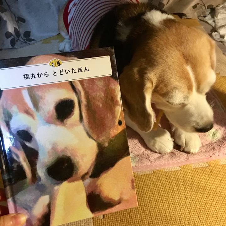 F2f31394 48d4 4e26 84b3 00a1eee3850f