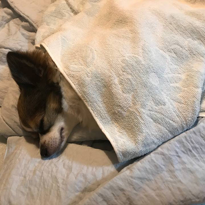 F2f37555 43cf 4cee bd8d 83ee2b0e5fd6