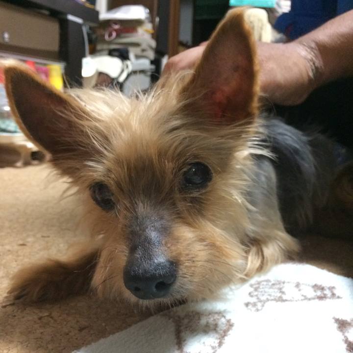 F2f39a52 707a 4d47 942c f9137d75f198