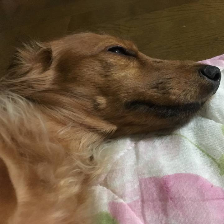 F2f41425 99b8 4ca9 9fa7 316d24ee2d0c