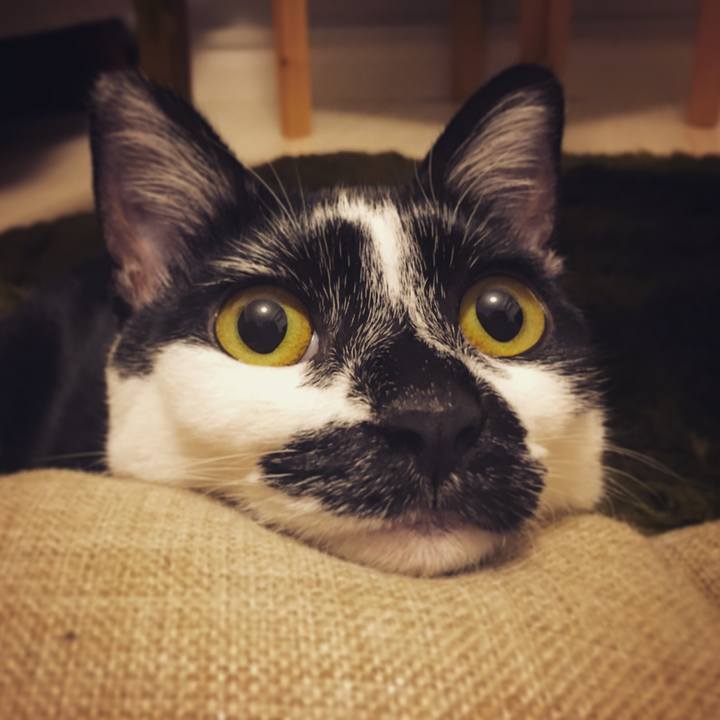 F2f445e0 22af 4058 b1bb e62399a2fdf4