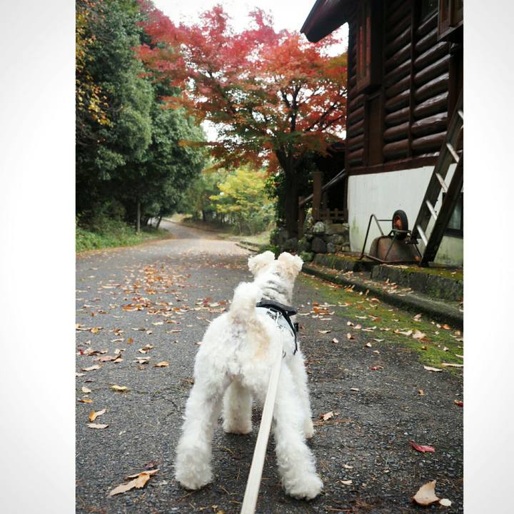 F2f45922 bdc9 4dfc 800f b69a6bd632fe