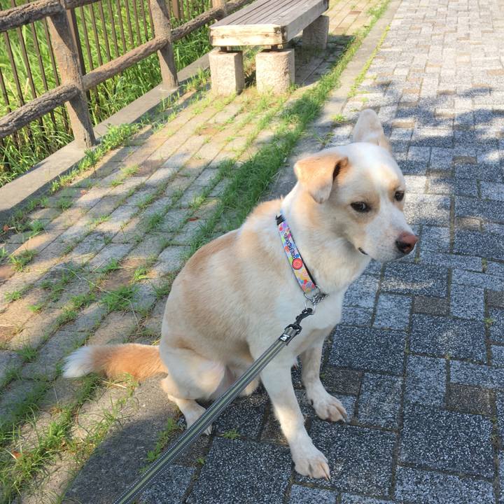 F2f47198 5438 4ec2 ac82 e00309097f71