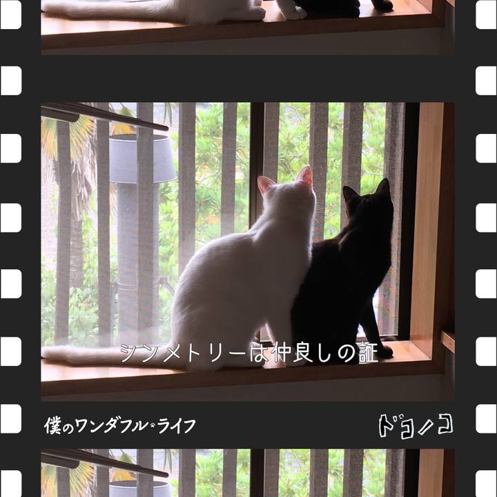 F2f4a77f b789 4f74 9d82 89677f274309