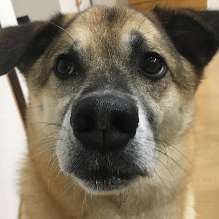 F2f4fa56 c51f 4378 8962 836dc2d2ecab