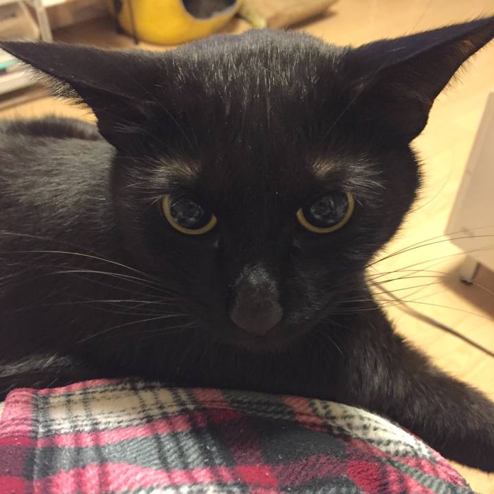 F2f615d1 f379 4eac 8082 ce34557e953c