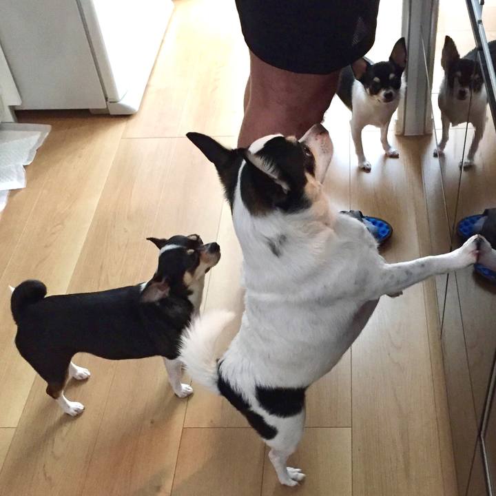 F2f6f796 392d 44f9 85d6 f439f0e9b252