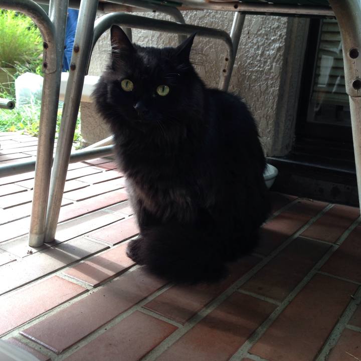 F2f7c493 4f61 4df6 8172 f68105340b6c