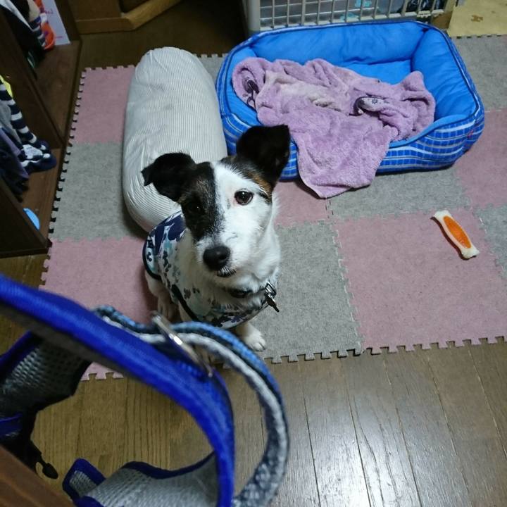 F2f7d44b eecf 4312 8961 44f0952c65ef