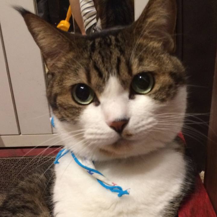 F2f8009d 523e 4bfc 889a 32e03339d981