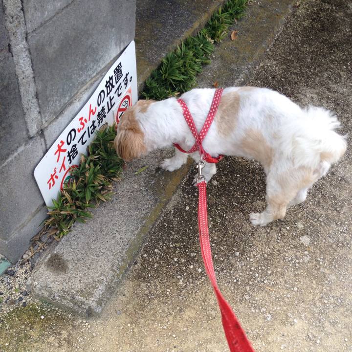 F2f8073f 7051 4631 9771 d9b197a91e4f