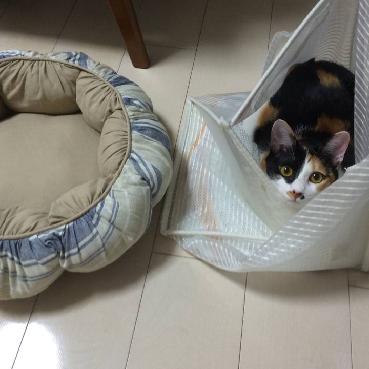 F2f839b9 4bbc 449f a006 4e6d17169e9c