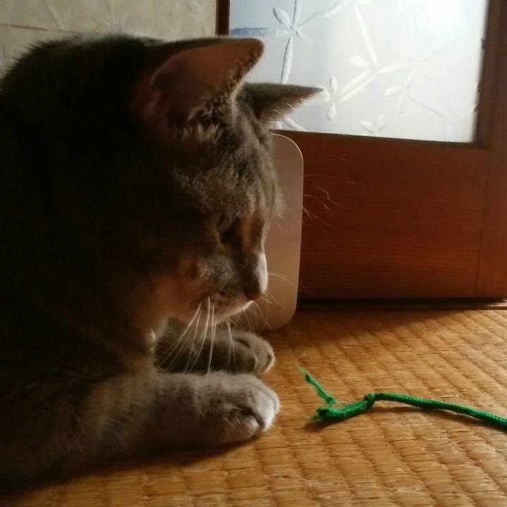 F2f8427d 1a48 4c16 ae8c 54c00b6d41e3