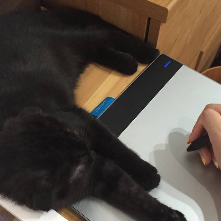 F2f8f263 821d 4746 aff5 f8c87046ab48