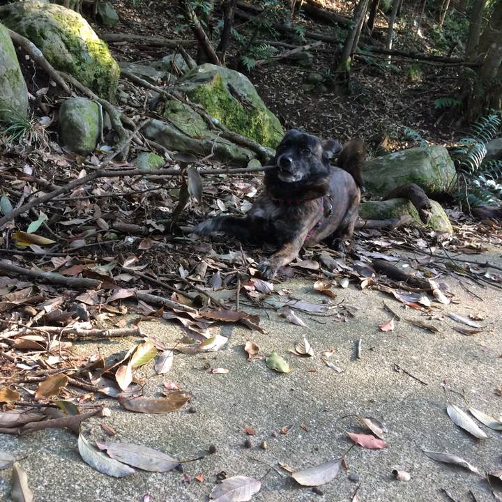 F2f92848 6c5e 49e6 a79b b8fe8af135e2