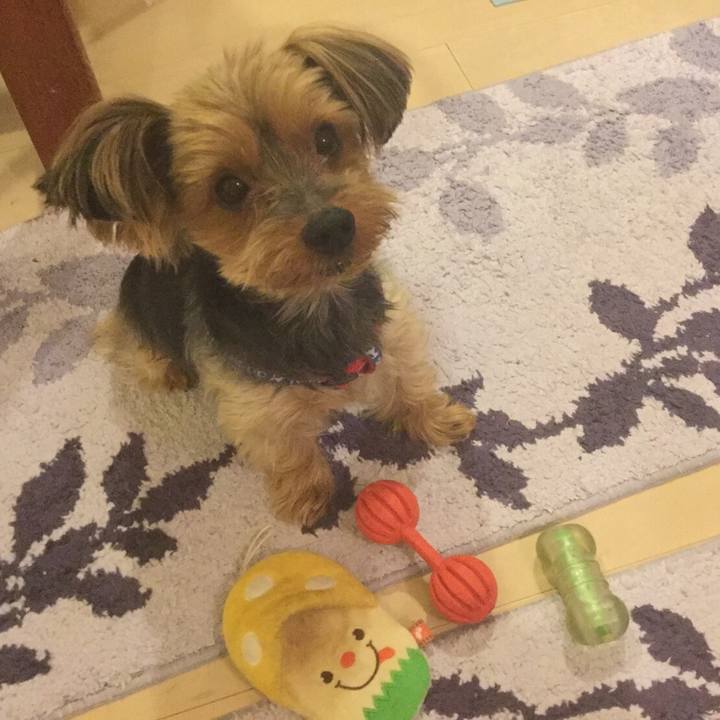 F2f936a4 71d1 4783 83e1 ab6d6f3b0345