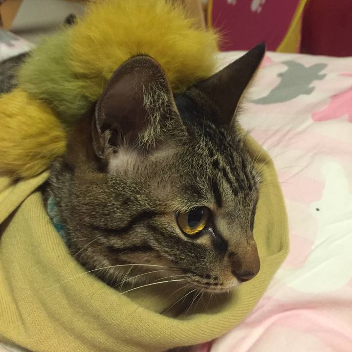 F2f9583b 7d26 404c ab65 92fc3a05de9e