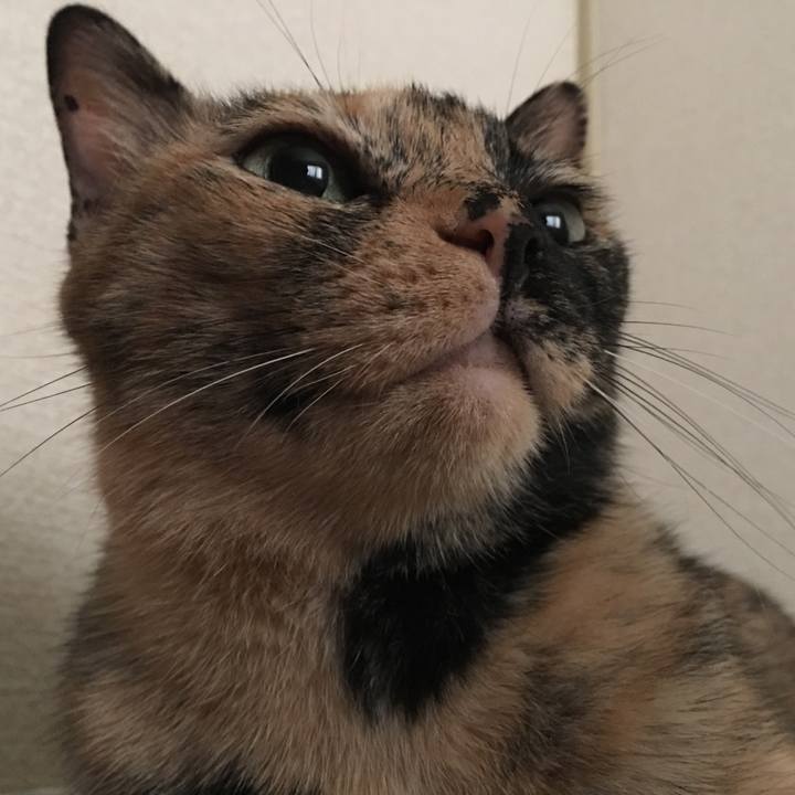 F2f96353 82a4 4e80 a5ff 3fa2dccfe64b