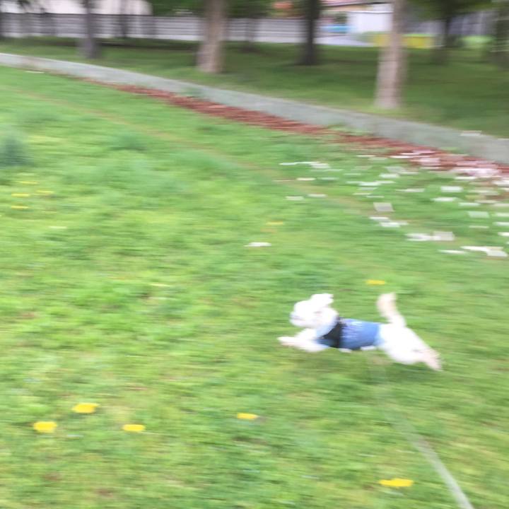 F2fa24e7 4a31 45f9 a85b 247cc2ef49ff