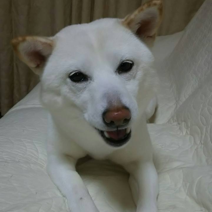 F2fa76fc 8b3b 490c 985a b7fba9a7c244