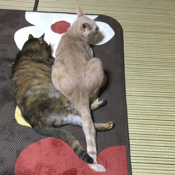 F2fb4592 e59c 4daf bc75 12933e6125f5