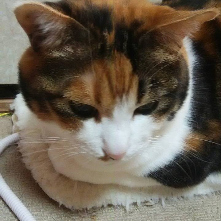 F2fb5d6a 32bd 408a af85 77a2a003f265