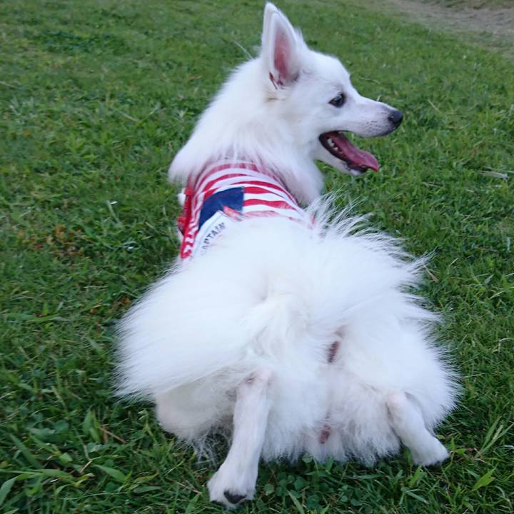 F2fb8071 3397 46e7 abcb 41754ff6474b