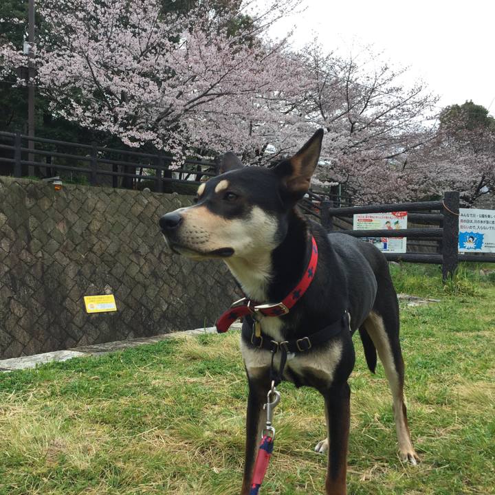 F2fc15ba 17a9 4294 8003 a61e6d05bdae