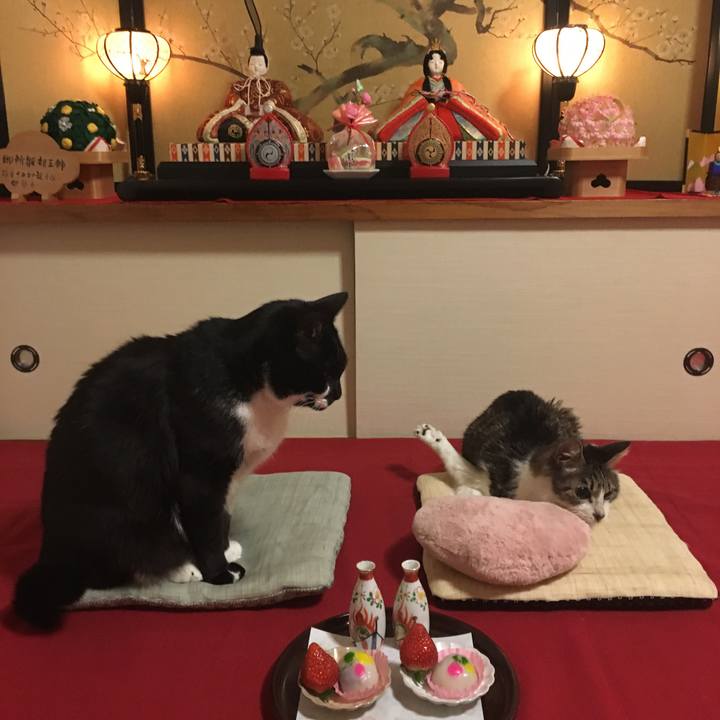 F2fc32fc a975 47c2 99cd 4d30a2eb1239